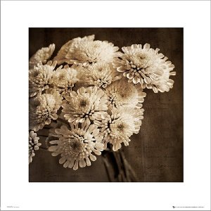 Art-Pol Bukiet Kwiatów Sepia - plakat premium 40x40 cm 1