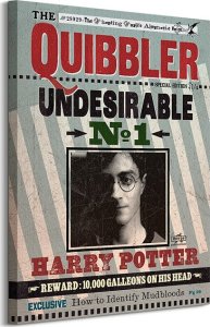 GF Harry Potter (Quibbler) - Obraz na płótnie 60x80 cm 1