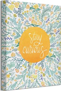 Feeby Stay Curious - Obraz na płótnie 30x40 cm 1