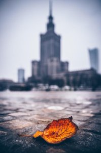 Feeby Warszawa Pałac Kultury i Nauki Jesienna Impresja - plakat premium 30x40 cm 1