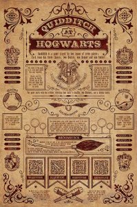 Pyramid Harry Potter Quidditch At Hogwarts - plakat 61x91,5 cm 1