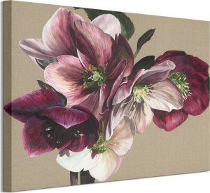 Dekoria Hellebore IV - Obraz na płótnie 50x40 cm 1