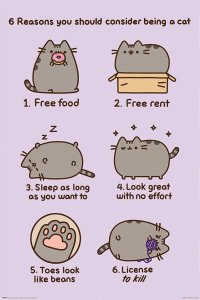 Pusheen Pusheen Reasons to be a Cat - plakat 61x91,5 cm 1