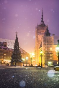 E-druk Warszawa Zamek - plakat premium 21x29,7 cm 1