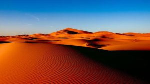 GbEye Panorama sahara - plakat 91,5x61 cm 1