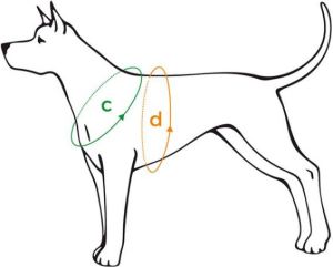 Ami Play Szelki Scout Air XXL max 52 [c] x 65-80 [d] cm Czarny 3