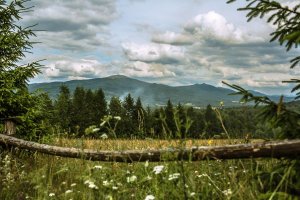 Bieszczady latem - plakat premium 40x30 cm 1