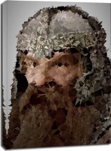 GbEye POLYamory - Gimli, Władca Pierścieni - obraz na płótnie 50x70 cm 1