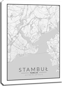 galeria plakatu Stambuł mapa czarno biała - obraz na płótnie 40x50 cm 1