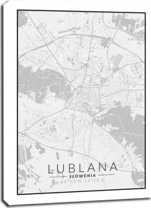 GbEye Lublana mapa czarno biała - obraz na płótnie 61x91,5 cm 1