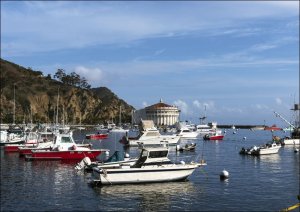 Kodansha America, Inc Santa Catalina Island, often called Catalina Island, or just Catalina, is a rocky island off the coast of the U.S. state of California in the Gulf of Santa Catalina., Carol Highsmith - plakat 59,4x42 cm 1