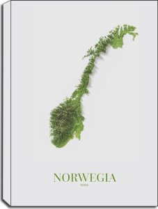 galeria plakatu Norwegia, mapa - obraz na płótnie 70x100 cm 1