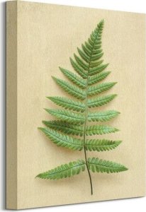 Dekoria Sunset Fern - obraz na płótnie 30x40 cm 1
