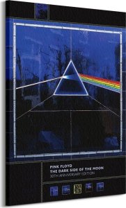 GF Pink Floyd Dark Side Of The Moon 30th Anniversary - obraz na płótnie 85x120 cm 1