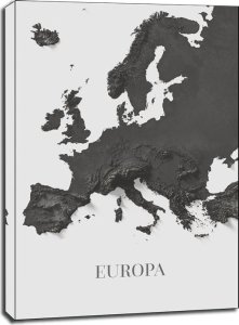Feeby Europa mapa czarno biała - obraz na płótnie 61x91,5 cm 1