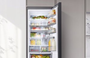 SAMSUNG LODÓWKA RB38C604DSA 6