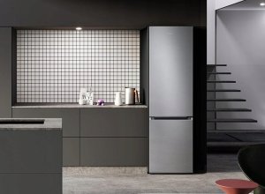 SAMSUNG LODÓWKA RB38C604DSA 8