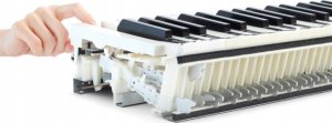 Kawai CN-201 B Cyfrowe Pianino Młoteczkowy Mechanizm Bluetooth 88 Klawiszy 4