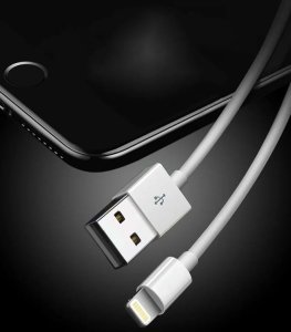 Kabel USB Zenwire USB-A - Lightning 2 m Biały (1000580) 3