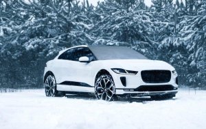 ANTYSZRONOWA OSŁONA NA SZYBY PE 85x185CM DUNLOP 3