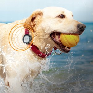 Catalyst AirTag Wasserdichtes Clip-It Case Stealth Black 5