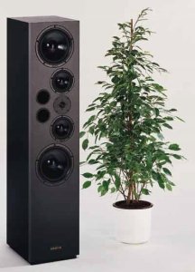 Visaton VS-W130S/8, 50 W, 80 W, 8 O, 39 - 12000 Hz, Black, 146 mm 3