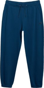 Spodnie dresowe 4F Męskie sportowe joggery turkusowe L 5