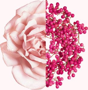 GIVENCHY Irresistible Fraiche EDT spray 80ml 2