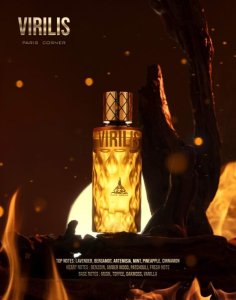 PARIS CORNER Virilis EDP spray 100ml 1