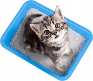 HILTON PREMIUM ŻWIREK BIAŁY BENTONIT O ZAPACHU ALOE 3