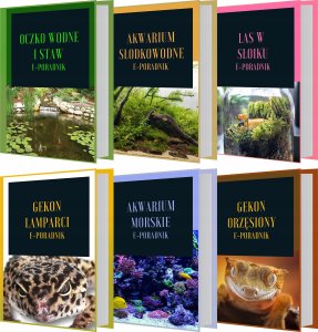 HILTON PREMIUM ŻWIREK BIAŁY BENTONIT O ZAPACHU ALOE 9