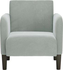 vidaXL Sofa Fotel z Podłokietnikami Jasnoszary 54 cm Aksamit 3