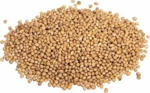 vidaXL Pestki wiśni do poduszki grzewczej 5 kg 4