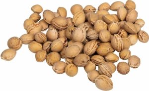 vidaXL Pestki wiśni do poduszki grzewczej 5 kg 5