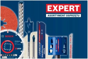 Bosch FOLIA ŚCIERNA EXPERT O780,125,80,6PC 11