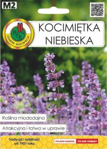 Kocimiętka niebieska nasiona 0,5g Ozdobna roślina pożyteczna dla pszczół 1