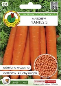 Marchew Nantes 3 300 nasion średnio wczesna odmiana 1