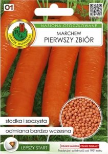 Marchew Pierwszy Zbiór 300 nasion wczesna odmiana o soczystym miąższu 1