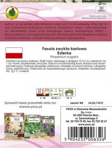 Fasola szparagowa zielona Esterka 30g Odmiana wczesna karłowa 2