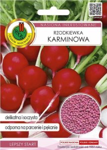 Rzodkiewka Karminowa 10g duża i smaczna odmiana 1