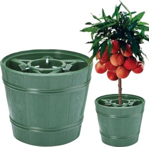 Doniczka z uchwytem na pień, na rośliny drzewiaste. mini drzewka, cyprysiki Stojak 3