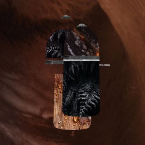 Cartier, Pasha de Cartier Edition Noire Absolu, Eau De Parfum, For Men, 50 ml For Men 5