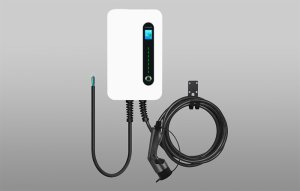 Besen ścienna ładowarka dla samochodów elektrycznych F30 APP 9