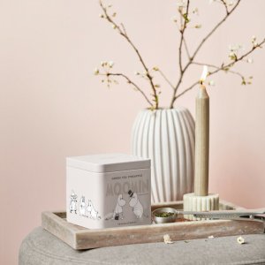 Teministeriet Herbata sypana Moomin Green Tea Pineapple 80g 2