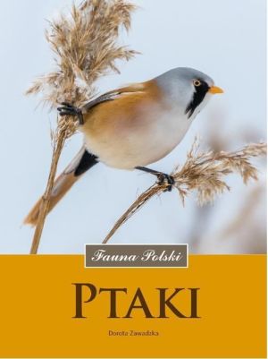 Ptaki. Fauna Polski 1