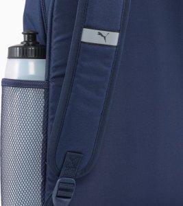 Pleack Puma Phase 091164-02 3