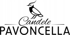 Świeczka Pumpkin 170g 2