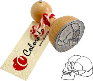 Stempel mózgoczaszka 1