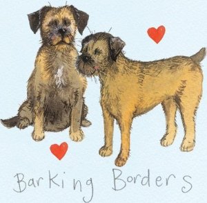 Magnes FM11 Border terrier 1
