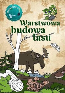 Kolorowanka. Warstwowa budowa lasu 1